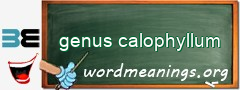 WordMeaning blackboard for genus calophyllum